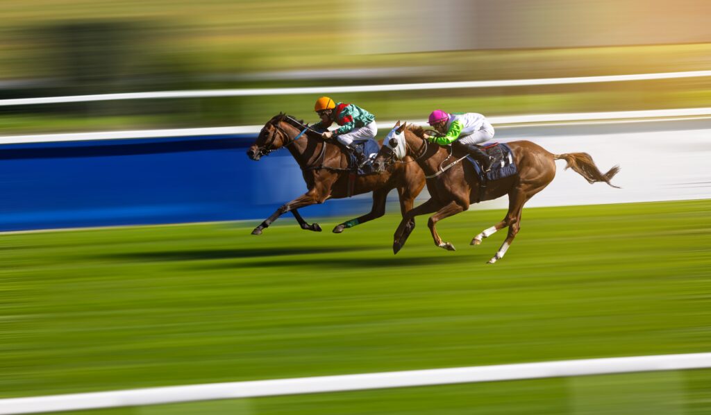 Tips for Horse Racing at Cheltenham