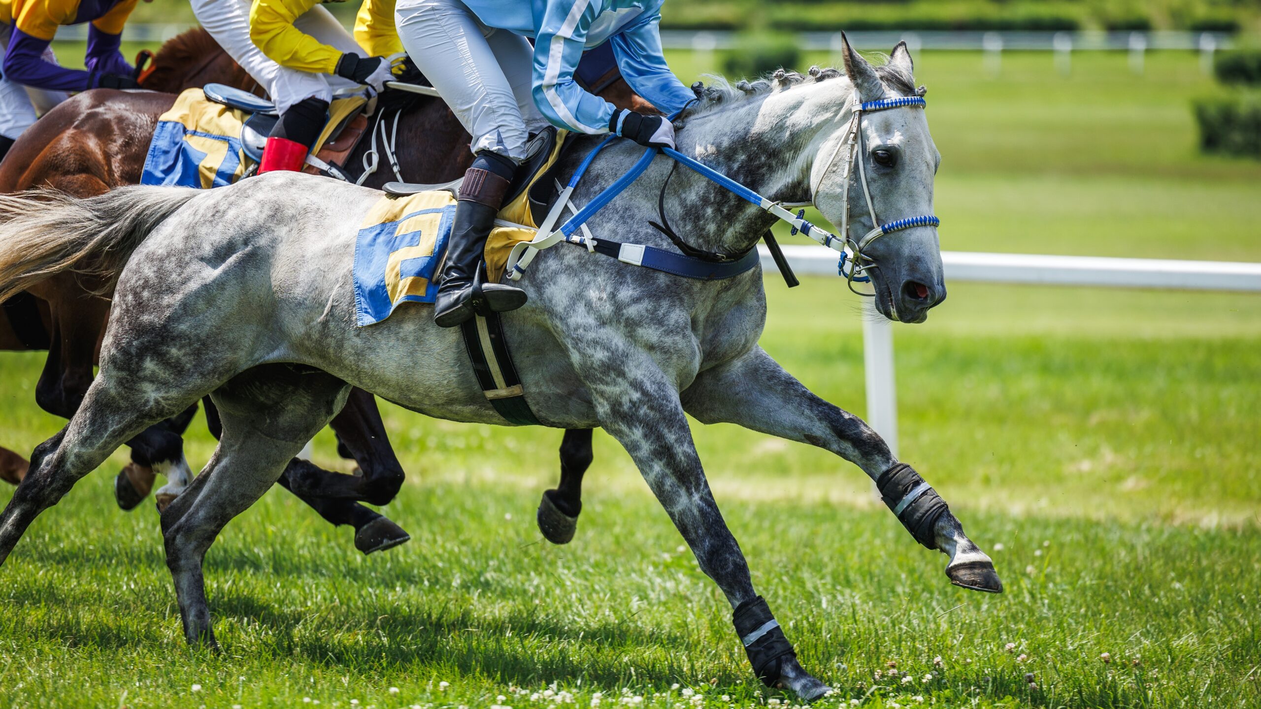 Royal Ascot Horse Racing Tips