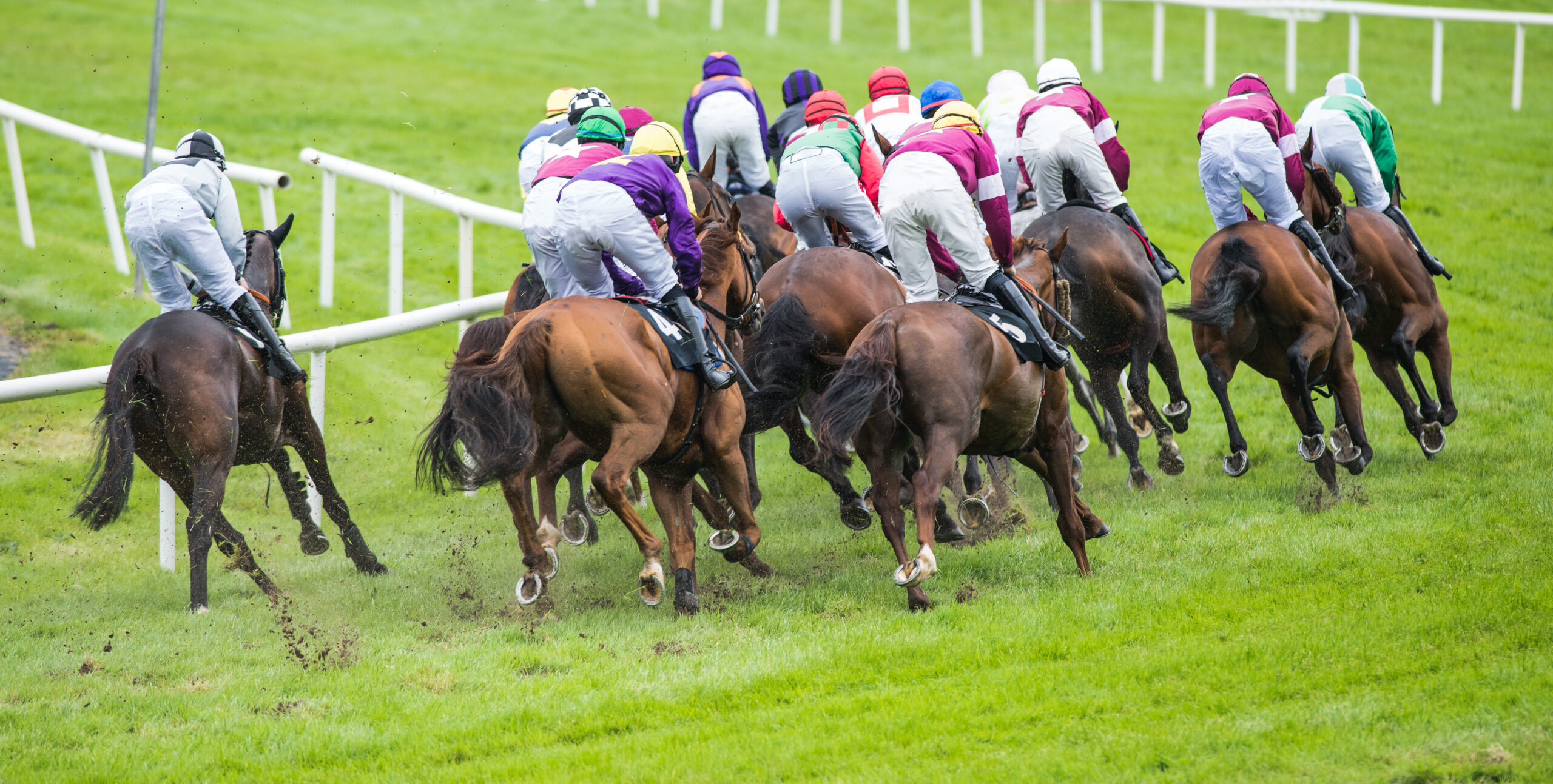 York Horse Racing Tips